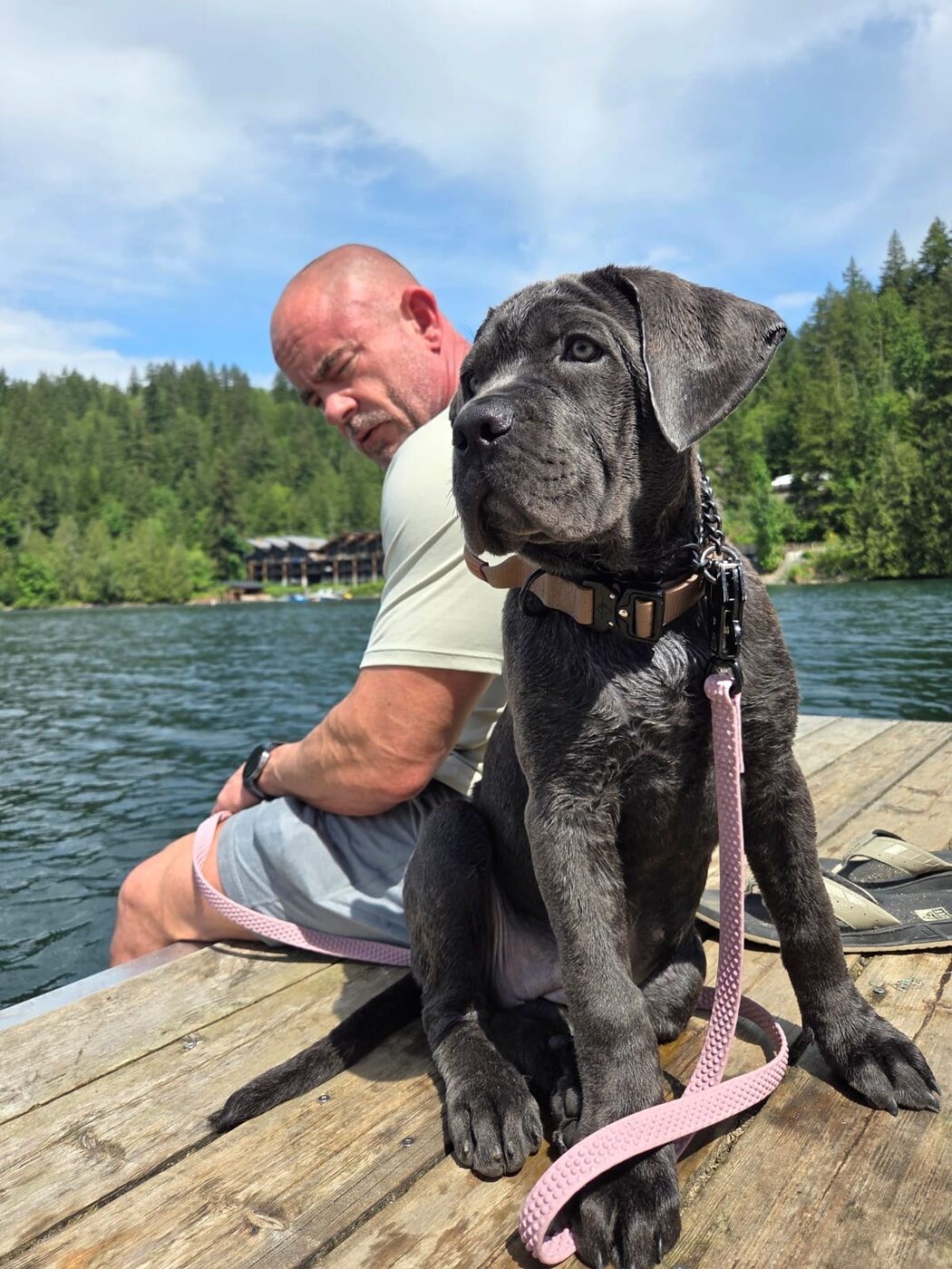 Robbie, the breeder behind Medieval Cane Corso, with a Cane Corso puppy on a dock overlooking a lake and mountains